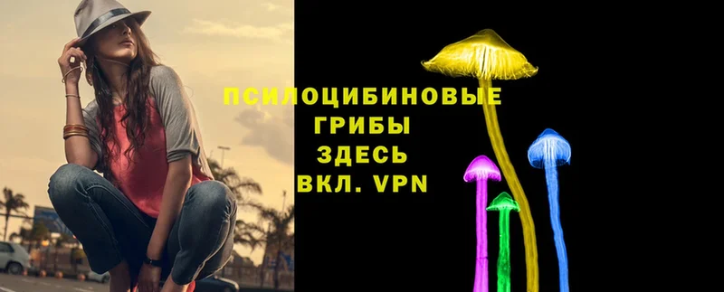 Псилоцибиновые грибы Psilocybe  Электроугли 